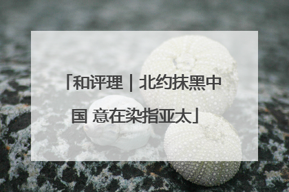 和评理｜北约抹黑中国 意在染指亚太